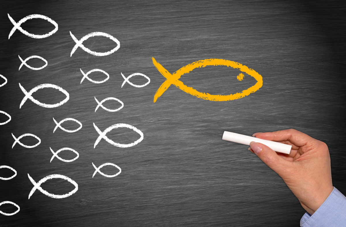 Leadership Concept with Followers, hand with chalk drawing fish on chalkboard background